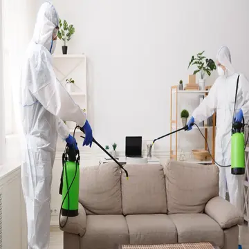 Best Pest Control services in dubai