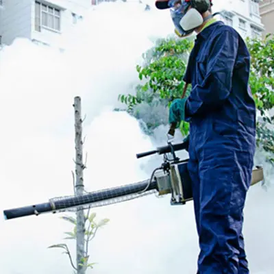 Pest control Sharjah