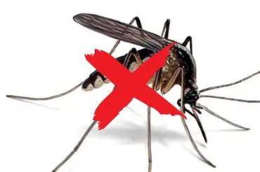 Mosquito Pest Control Services sharjah