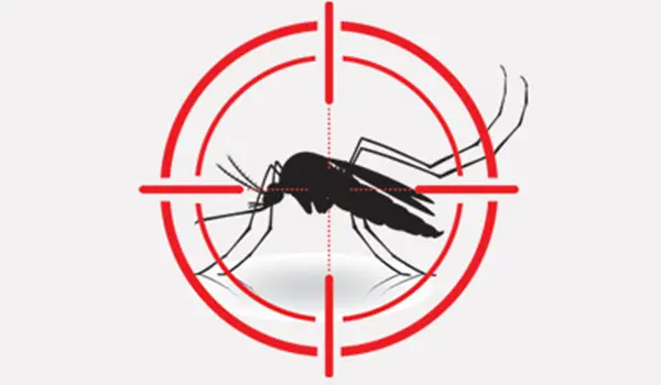 Pest control services in Dubai