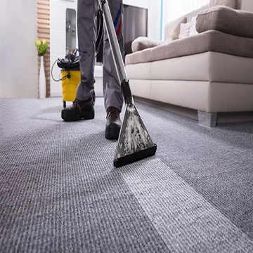 professional carpet cleaning services in dubai